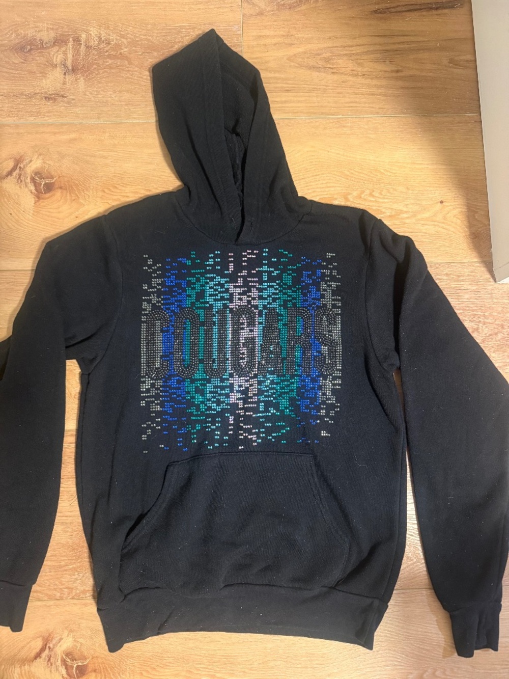 CEA Cougars Hoodie